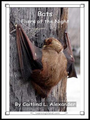 cover image of Bats